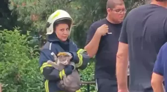 Bursa'da Yangında Mahsur Kalan Kedi Kurtarıldı