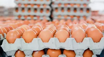 Yumurtanın üretim maliyeti düşerken market fiyatları sabit kaldı