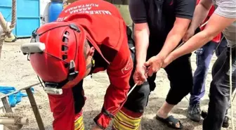 Burhaniye'de Kuyuya Düşen Kuzu İtfaiye Tarafından Kurtarıldı