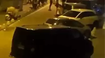 İstanbul'da Köpek Tartışması Kavgaya Dönüştü