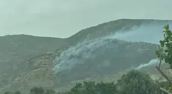 İzmir'de Tarım Arazisinde Yangın Kontrol Altına Alındı