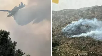 İzmir'de zeytinlik alanda yangın! Kontrol altına alındı