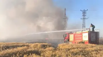 Mardin'de Buğday Tarlalarında Yangın: 155 Dönüm Zarar Gördü