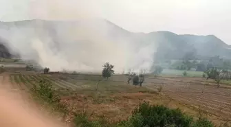 Bilecik'te Anız Yangını Kontrol Altına Alındı