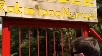 Rize'deki 'Kendini Koruyan Mahalle' Sosyal Medyanın Gözdesi Oldu