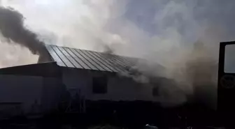 Pamukova'da Yayla Evinde Yangın: 4 Kişi Hastaneye Kaldırıldı