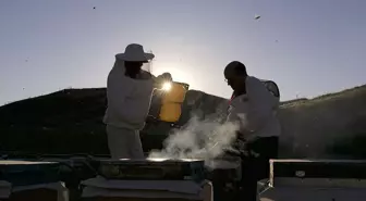 Bingöl Balı, ABD ve Körfez Ülkelerine İhraç Edilecek