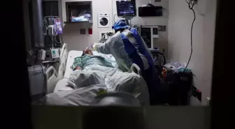 ABD'de her hafta 300'den fazla kişi korona nedeniyle hayatını kaybediyor