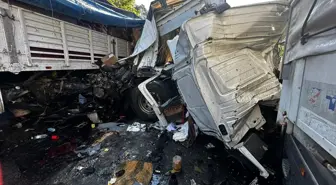 Adana'da Zincirleme Trafik Kazası: 1 Ölü, 2 Yaralı