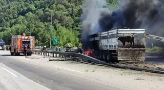 Adana'da Büyükbaş Hayvan Yüklü Tırda Yangın Çıktı