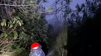 Adana'da Orman Yangını Kontrol Altına Alındı
