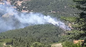 Kozan'da Orman Yangını Kontrol Altına Alındı