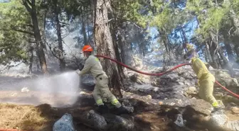 Adana'daki Orman Yangını Kontrol Altına Alındı