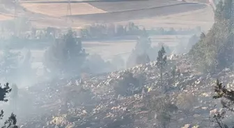 Tufanbeyli'de Anız Yangını Ormana Sıçradı