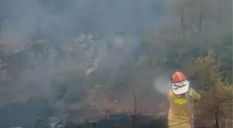 Adana'da Orman Yangını Kontrol Altına Alındı