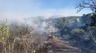 Ceyhan'da Orman Yangını Kontrol Altına Alındı