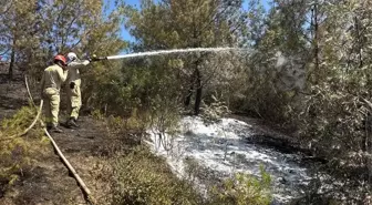 Adana'da Orman Yangınına Hava ve Kara Müdahalesi