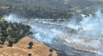 Adana'da Orman Yangını Kontrol Altına Alındı