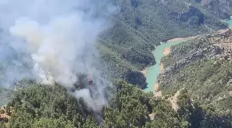 Adana'da Orman Yangınına Havadan ve Karadan Müdahale