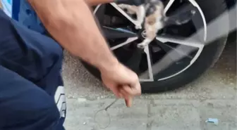 Otomobilin Motoruna Sıkışan Kedi Yavrusu İtfaiye Tarafından Kurtarıldı
