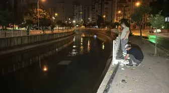 Adana'da Otomobil Sulama Kanalına Devrildi, 3 Yaralı