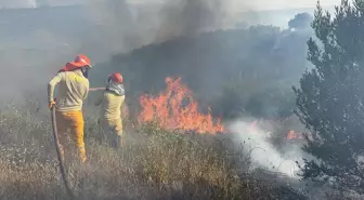 Adana'da Tarladan Ormana Sıçrayan Yangın Kontrol Altına Alındı