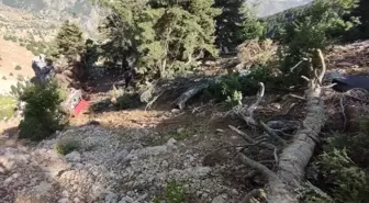 Adana'da Uçuruma Yuvarlanan Otomobilde 2 Kişi Hayatını Kaybetti