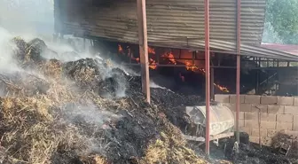 Kozan'da Ahır Yangını: 5 İnek Telef Oldu
