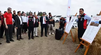 Yerli ve Milli Tohumlar Tanıtıldı: Adana'da Tarla Günü Etkinliği