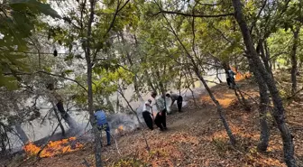 Adana'da Orman Yangınına Hava ve Kara Müdahalesi