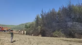 Adana'nın Karaisalı İlçesindeki Orman Yangını Kontrol Altına Alındı