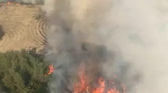 Adana'da Orman Yangınına Hava ve Kara Müdahalesi