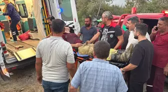 Adana'da Orman Yangınına Müdahale Ediliyor