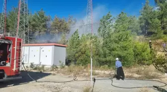 Adana'da Orman Yangını Kontrol Altına Alındı