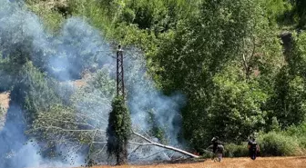 Adana'da Orman Yangınına Hızla Müdahale