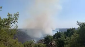 Adana'da Orman Yangınına Hızla Müdahale Ediliyor