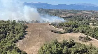 Adana'nın Sarıçam İlçesinde Orman Yangınına Müdahale Ediliyor