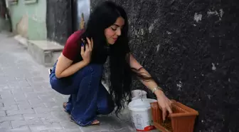 Hayvansever Nur Kıykaç, Kedilere Yuva Oldu