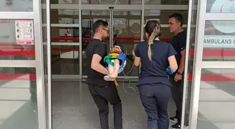 Adıyaman'da Minibüs Devrildi: 5 Yaralı