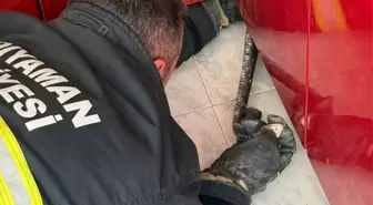 Adıyaman'da Mutfağa Giren Yılan İtfaiye Tarafından Yakalandı