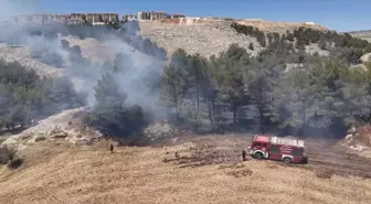 Adıyaman'daki Orman Yangını Söndürüldü