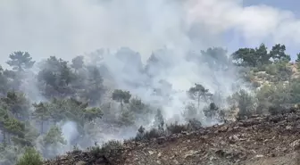 Adıyaman'da Orman Yangını Kontrol Altına Alındı