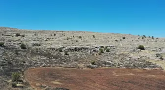Adıyaman'da Roma ve Genç Tunç Çağı Keşifleri
