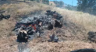 Adıyaman'da Tarla Yangını Ormana Sıçradı, Kısa Sürede Söndürüldü