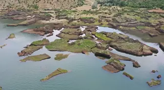Çat Barajı'nda Yüzen Adaların Korunması İçin Sabitleme Çalışmaları Başlatıldı