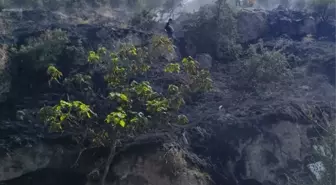 Afyonkarahisar'da Ağaçlık Alanda Yangın Söndürüldü
