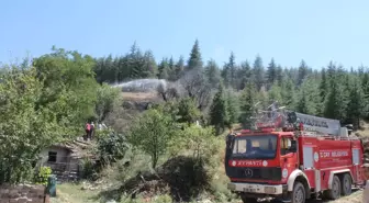 Afyonkarahisar'da Kuru Ot Yangını Kontrol Altına Alındı