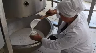 Başmakçı Kadın Kooperatifi, Kadınların Ekonomik Bağımsızlığını Destekliyor