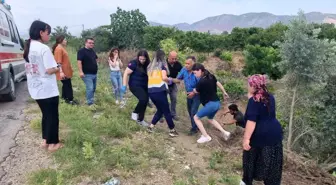 Adana'da Trafik Kazasında Sürücü Yara Almadan Kurtuldu