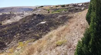 Elazığ'da Otluk Alanda Yangın Söndürüldü